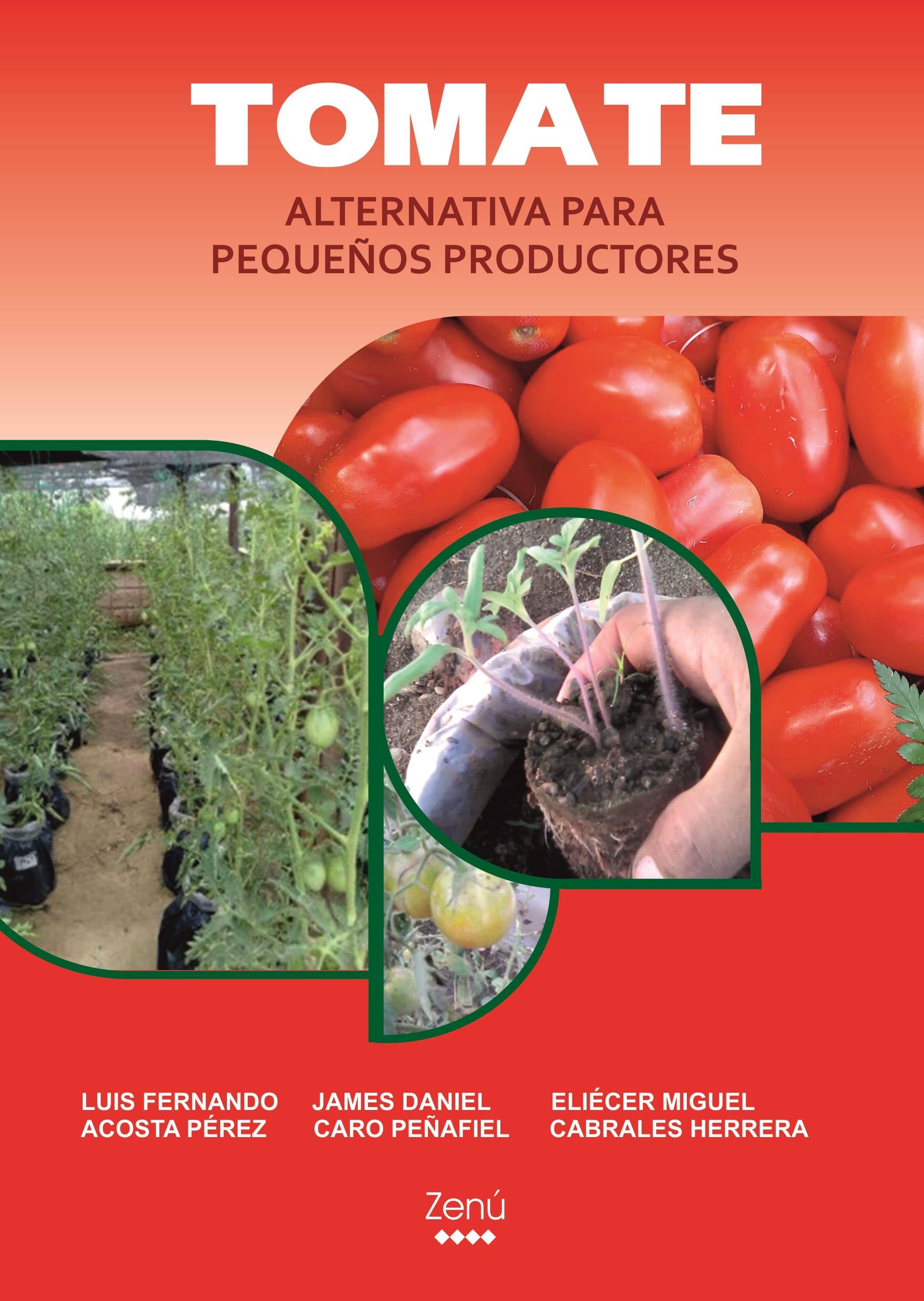 TOMATE: ALTERNATIVA PARA PEQUEÑOS PRODUCTORES