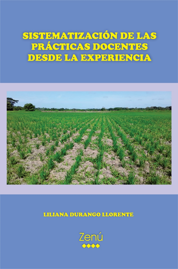 SISTEMATIZACIÓN DE LAS PRÁCTICAS DOCENTES DESDE LA EXPERIENCIA